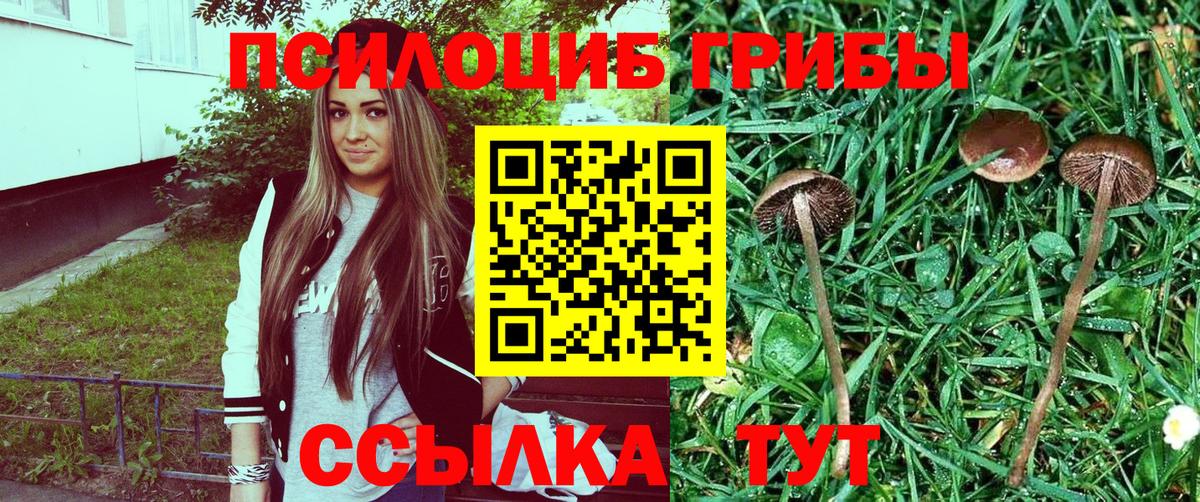 Псилоцибиновые грибы ЛСД Лениногорск
