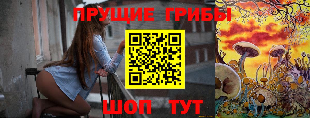 Лениногорск  Галлюциногенные грибы ЛСД  Вход с VPN 